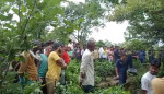 दसैँले छोएन माझठानालाई, शोकमा डुब्यो गाउँ