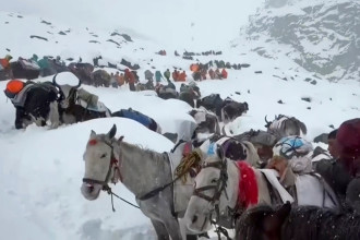 हिम आँधीले सगरमाथामा सयौँ पर्वतारोही फसे, उद्धार जारी