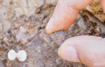 चार लाख वर्षअघि आगो बालिएको प्रमाण फेला