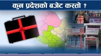 प्रदेश सरकारहरुले ल्याए बजेट, समेटिए महत्वकांक्षी योजना र नीति