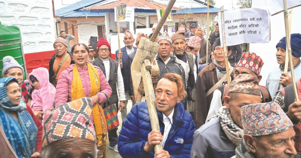 गाउँमा बाँदर भरियो, जनता भोकै परियो