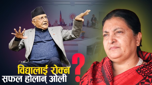 संसदमा कोहि बस्ने सुरमा, कोहि फरक मुडमा ! भिटिजले रमितै–रमिता !