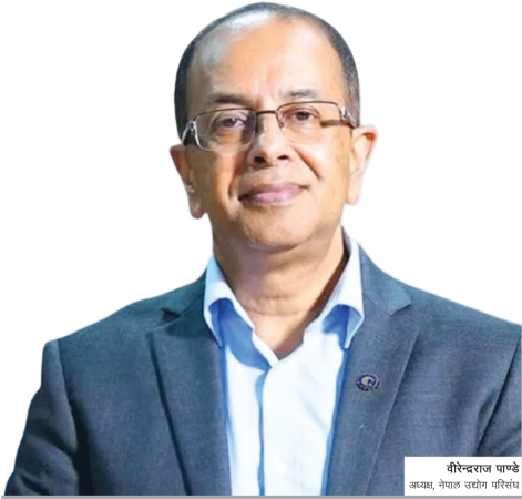 ‘लगानी गर्नेलाई ट्रोल बनाएपछि अर्थतन्त्र कसरी उँभो लाग्छ’