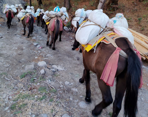 खच्चडबाट खाद्यान्न ढुवानी गरिँदै