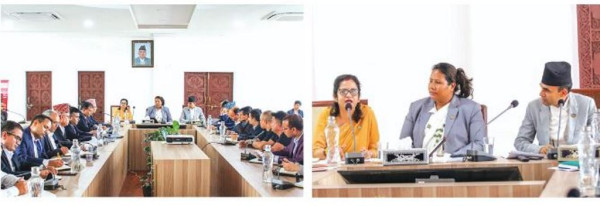 मल वितरणदेखि कालोबजारीसम्म छानबिनको दबाब
