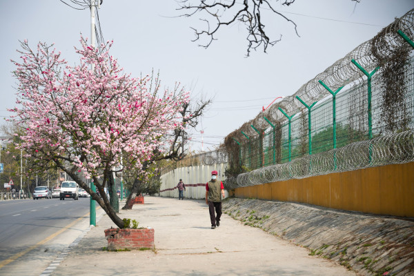 चेरीको चहक