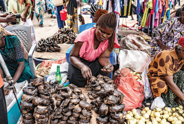 त्रस्त सहरको एउटा दिन