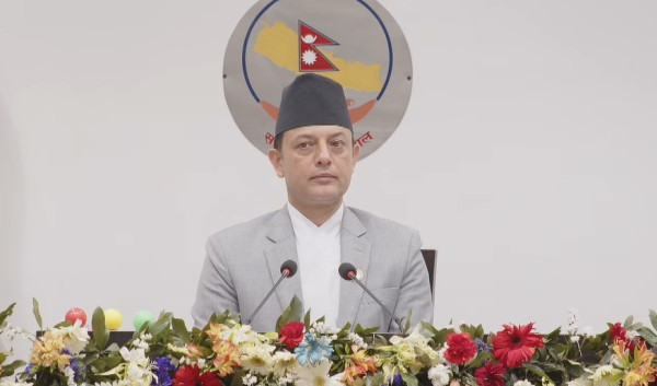 प्रतिनिधिसभाका १० विषयगत समितिले पाए पूर्णता