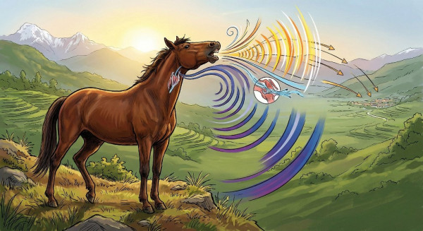 घोडाको दुई आवाज