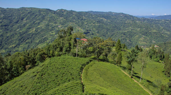 इलामले देखाएको सम्भावना