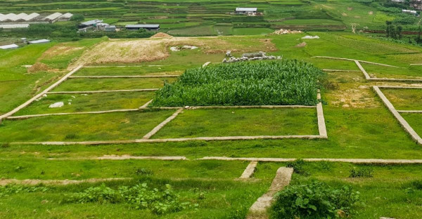 धरानको डाँडाघोपाका जग्गाको रोक्का हट्यो