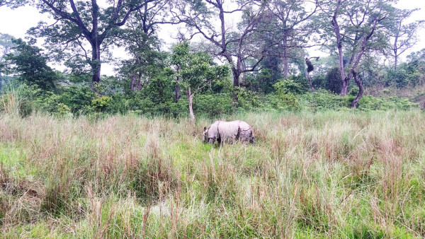 सामुदायिक वन क्षेत्र गैँडा अवलोकनको गन्तव्य
