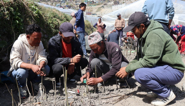 ओखर खेती प्रविधि सिक्दै कृषक