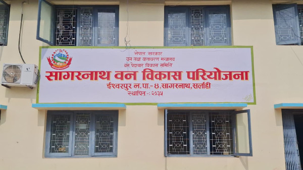 नेतृत्वहीन सागरनाथ वनः तस्करका लागि खुला मैदान