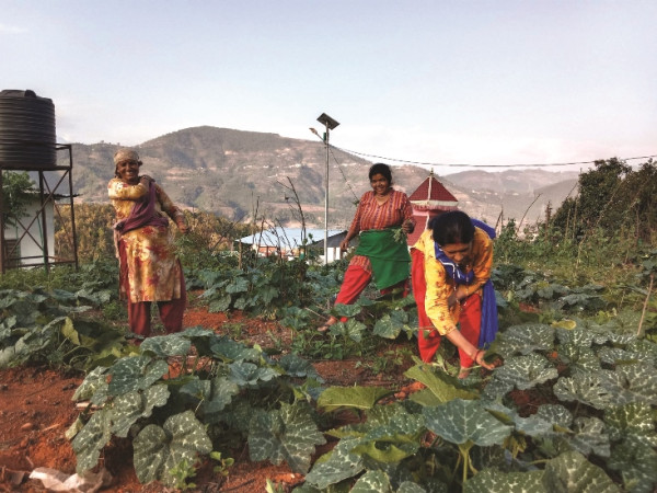 मण्डनदेउपुरका महिलाको नमूना तरकारी खेती