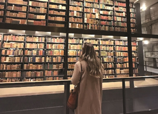 मुद्रा राक्षसको सुन्दरता