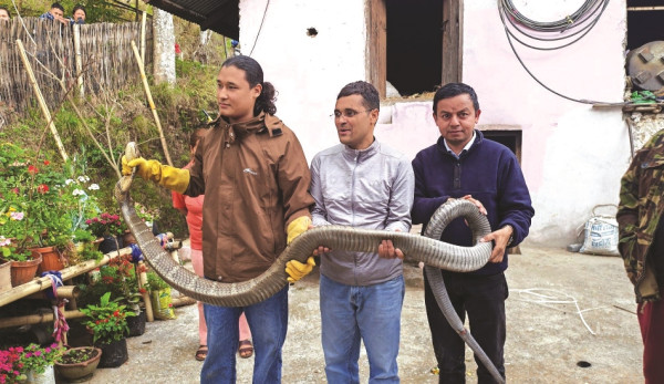 धनकुटामा भेटियो राजगोमन