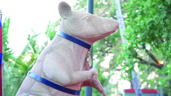 बारुदी सुरुङ खोज्ने मुसाको सम्मानमा शालिक