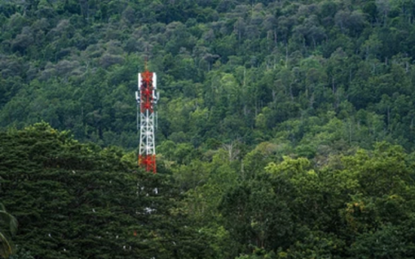 टेलिकमले किन राख्यो जंगलमा टावर ?
