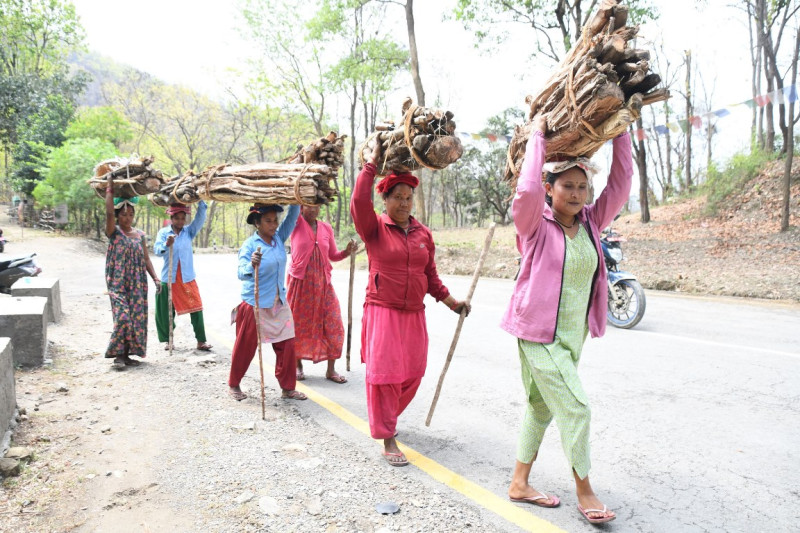 दाउराको भारी बोकेर घरतर्फ फर्किंदै
