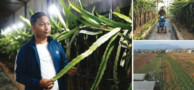 कक्षाकोठाबाट खेतसम्मको यात्रा