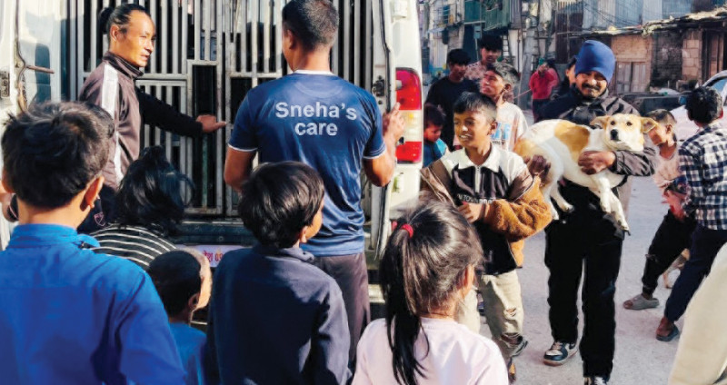 काठमाडौंमा ५ हजार कुकुरको बन्ध्याकरण