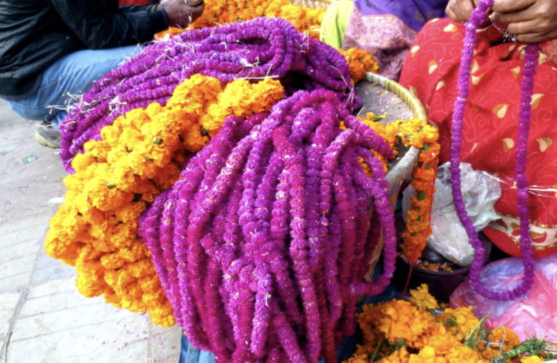 करिब ५२ लाख वटा फूलका माला खपत हुने