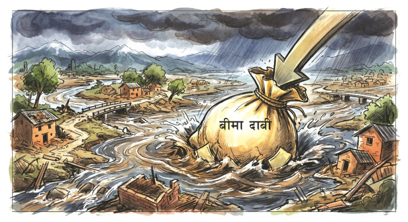 बाढीले बिमा कम्पनीलाई २५ अर्बको धक्का