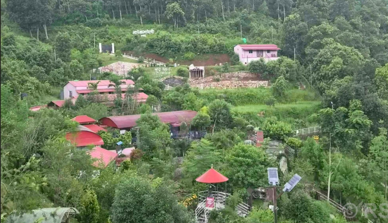 जडीबुटी उद्यान अवलोकन गर्न तनहुँको झाङ्गाझोली