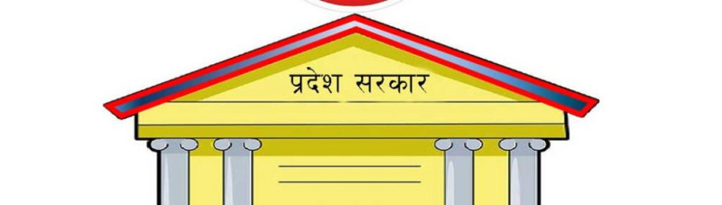 प्रदेशको बजेटमा आन्तरिक स्रोत अझै कमजोर