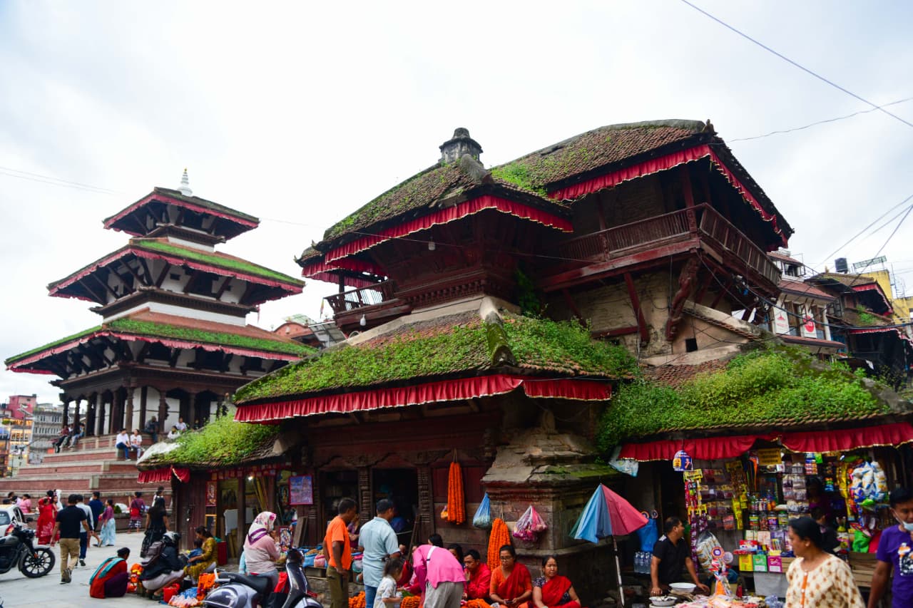 Basantapur-ma-Grass_NPL-(1)-1755495865.jpeg