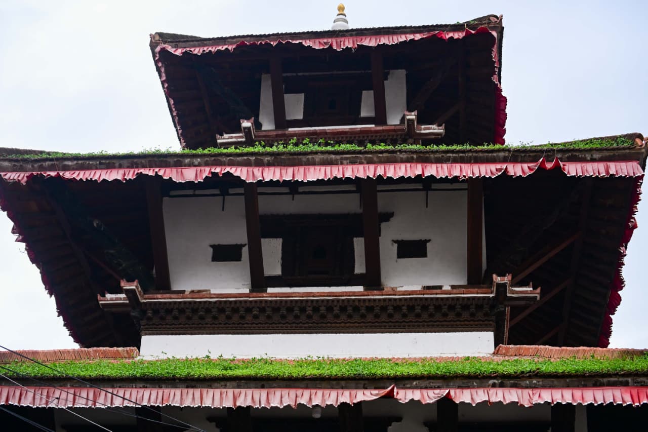 Basantapur-ma-Grass_NPL-(13)-1755495877.jpeg