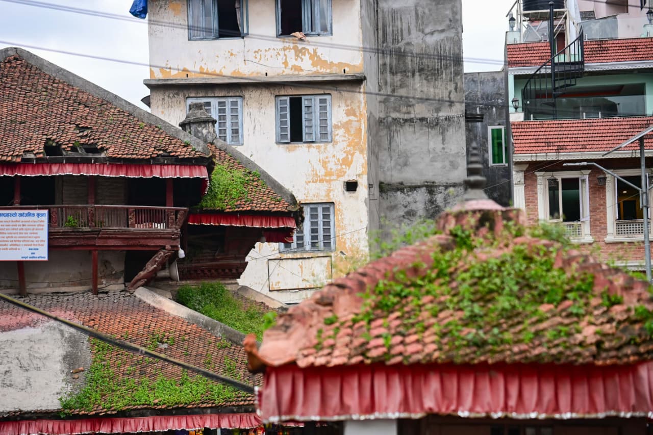 Basantapur-ma-Grass_NPL-(14)-1755495878.jpeg