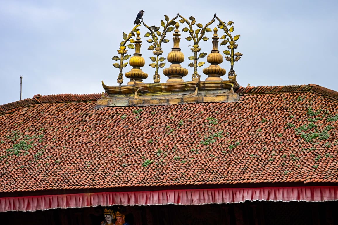 Basantapur-ma-Grass_NPL-(15)-1755495879.jpeg