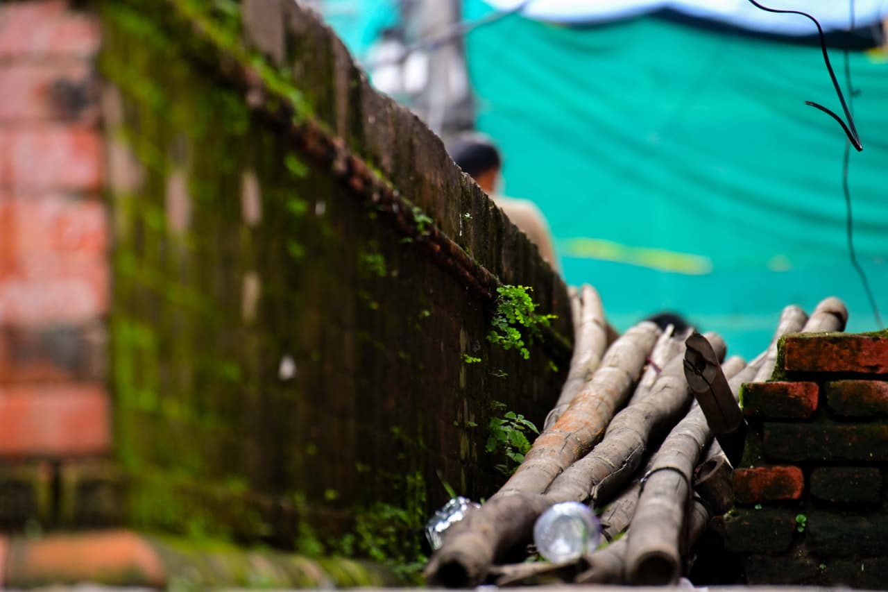 Basantapur-ma-Grass_NPL-(16)-1755495880.jpeg