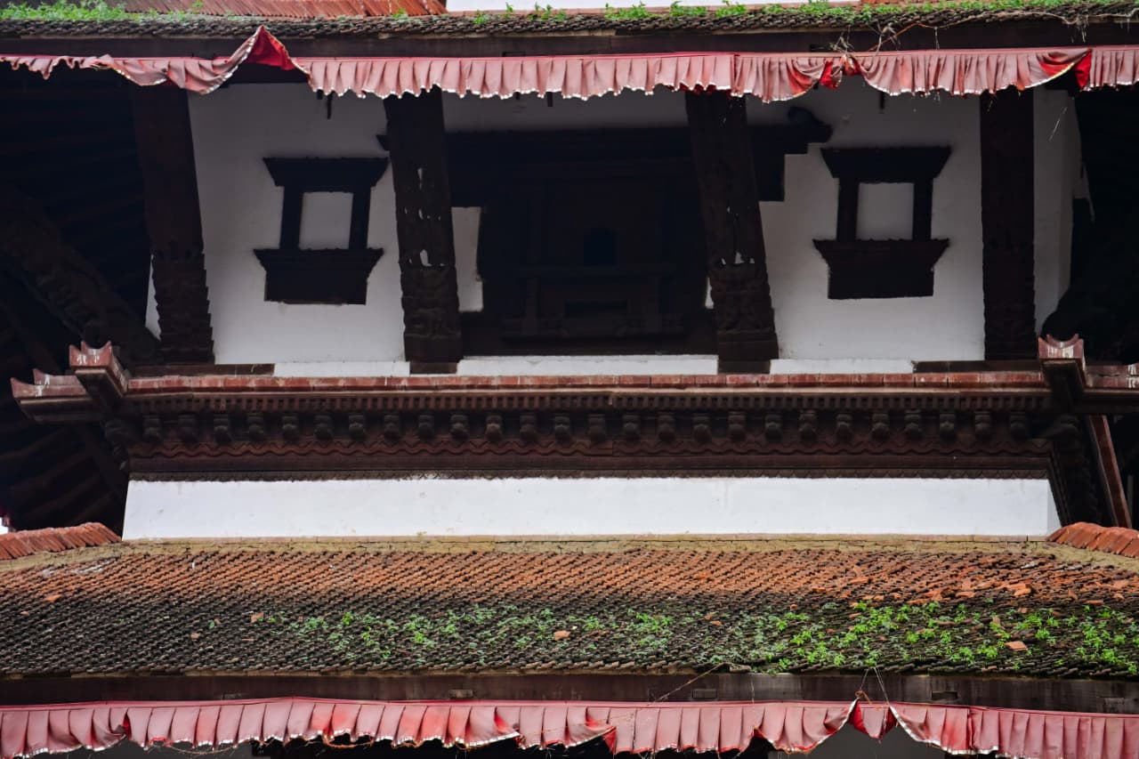 Basantapur-ma-Grass_NPL-(17)-1755495881.jpeg