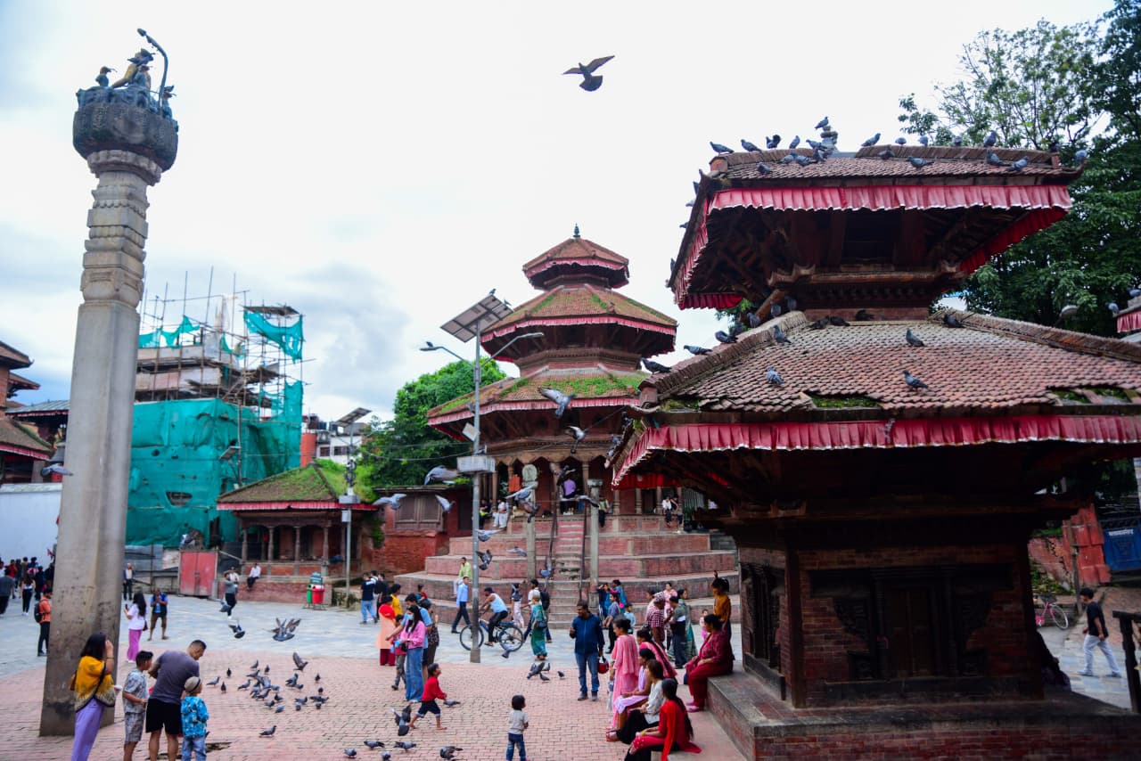 Basantapur-ma-Grass_NPL-(19)-1755495883.jpeg