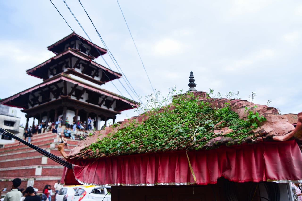 Basantapur-ma-Grass_NPL-(2)-1755495864.jpeg