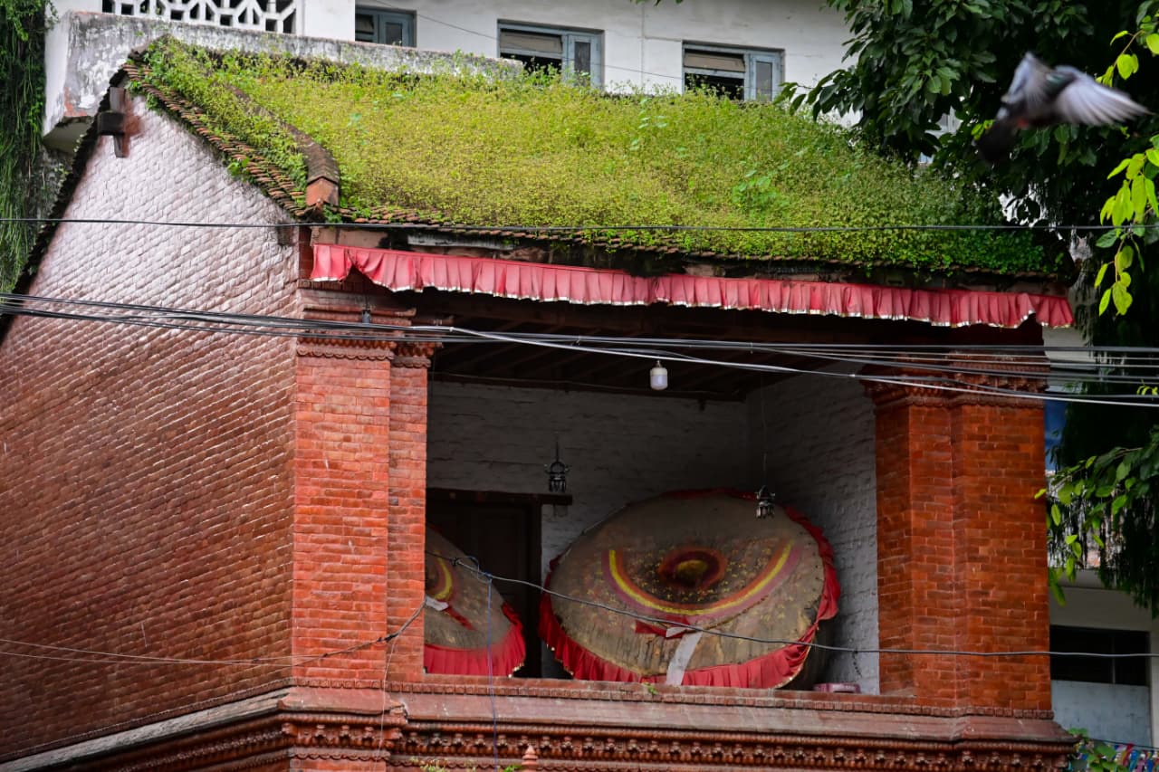 Basantapur-ma-Grass_NPL-(21)-1755495885.jpeg