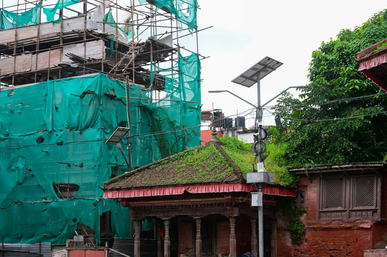 Basantapur-ma-Grass_NPL-(22)-1755495885.jpeg