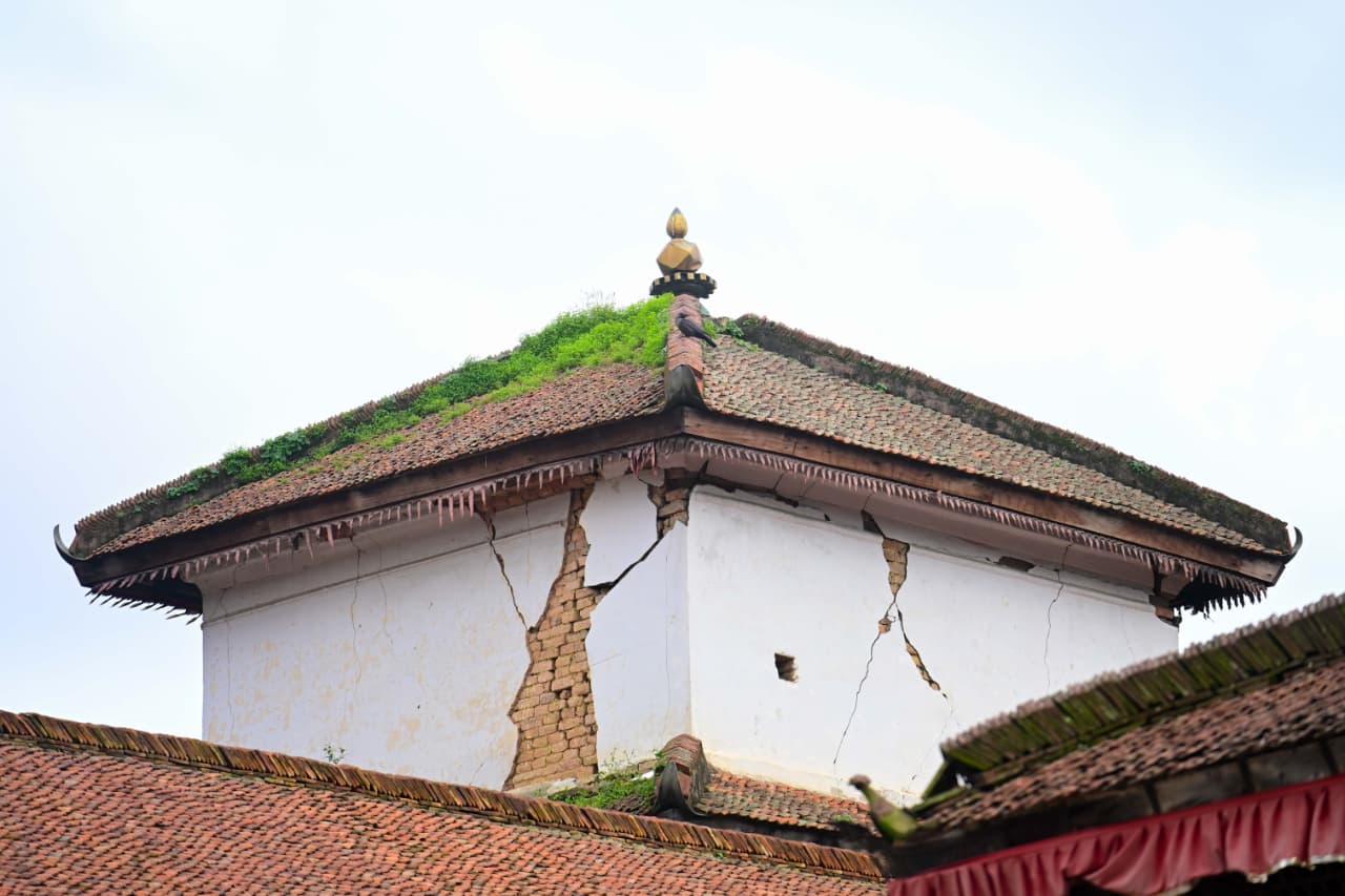 Basantapur-ma-Grass_NPL-(23)-1755495886.jpeg