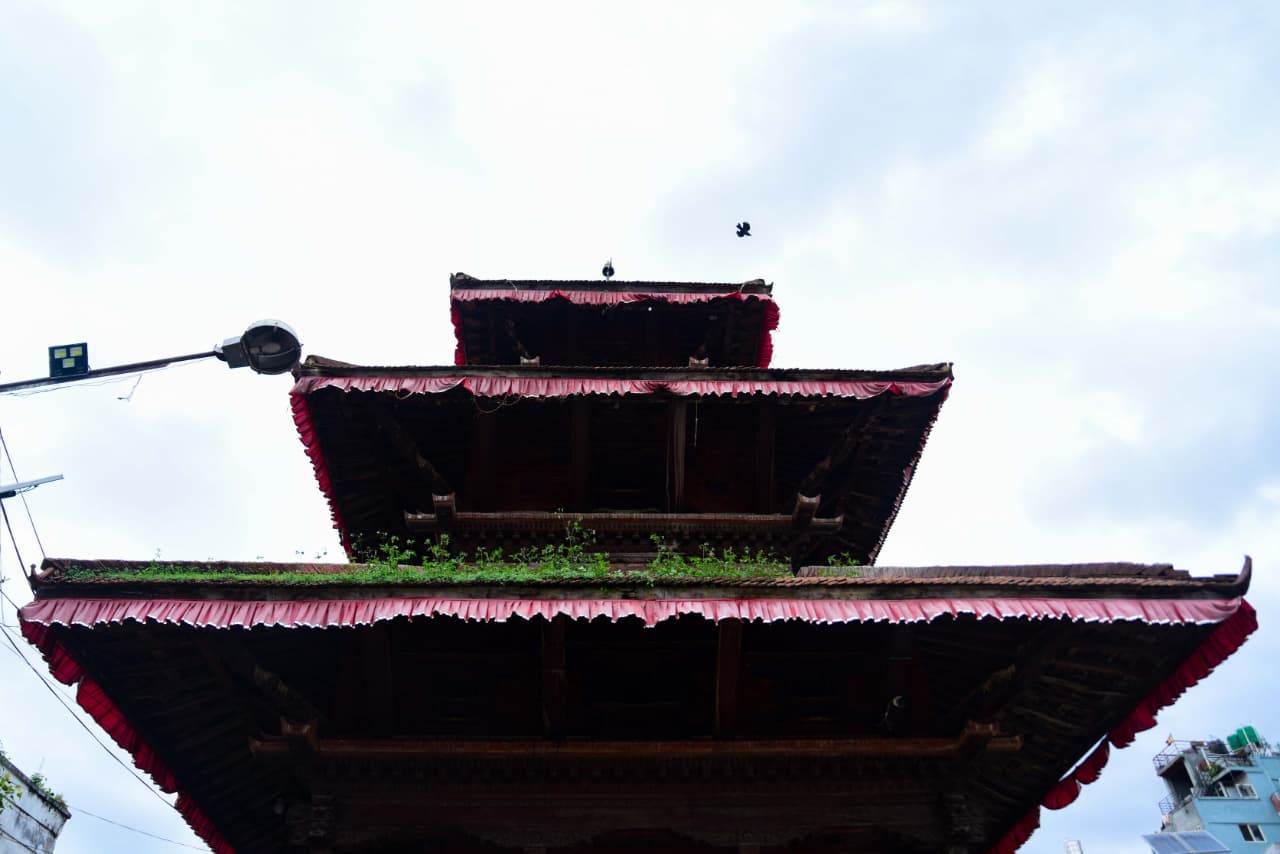 Basantapur-ma-Grass_NPL-(24)-1755495887.jpeg