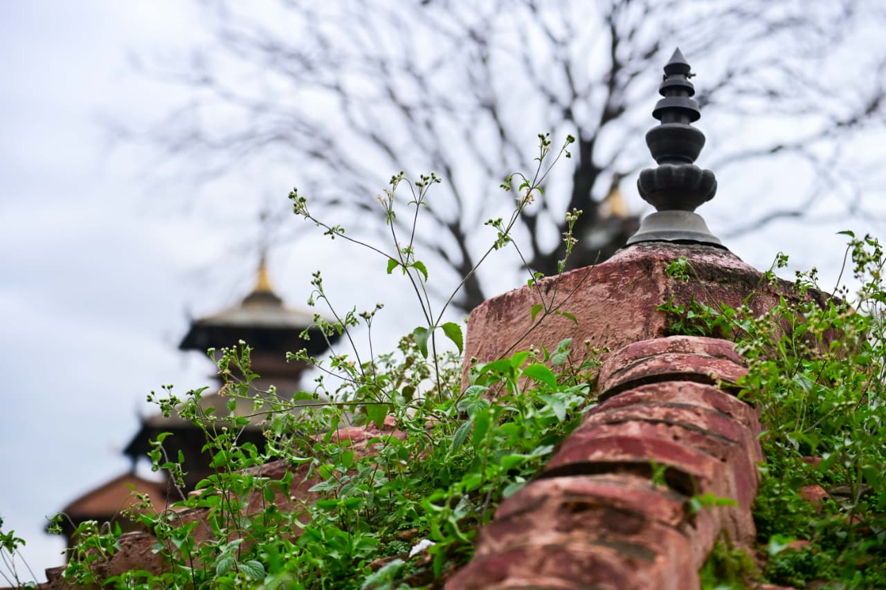 Basantapur-ma-Grass_NPL-(3)-1755495866.jpeg