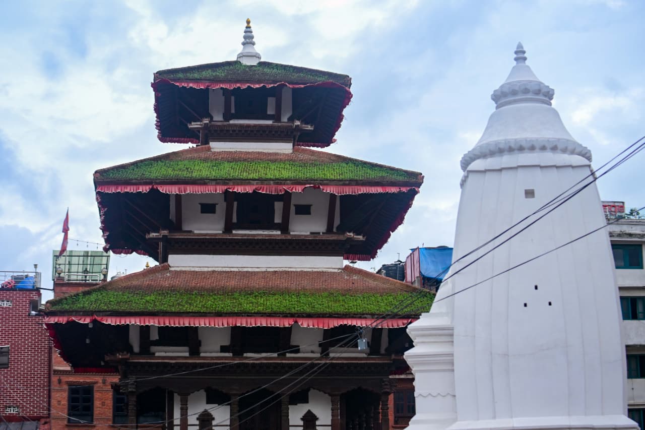 Basantapur-ma-Grass_NPL-(30)-1755495892.jpeg