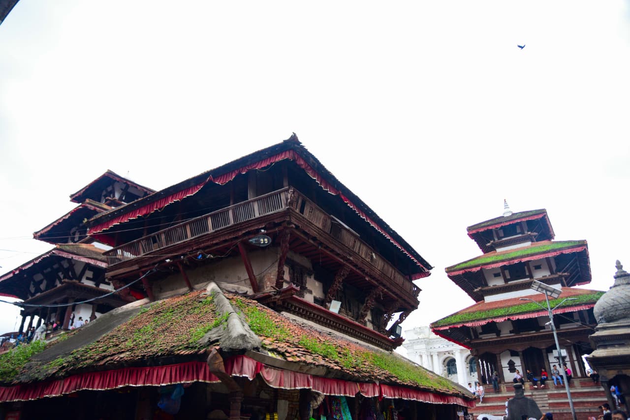 Basantapur-ma-Grass_NPL-(6)-1755495870.jpeg