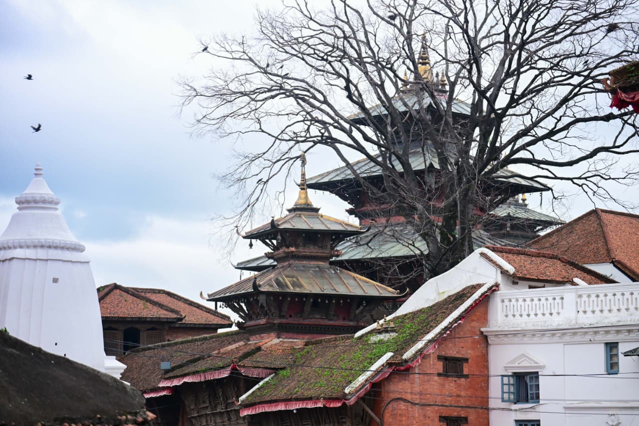 Basantapur-ma-Grass_NPL-(7)-1755495872.jpeg