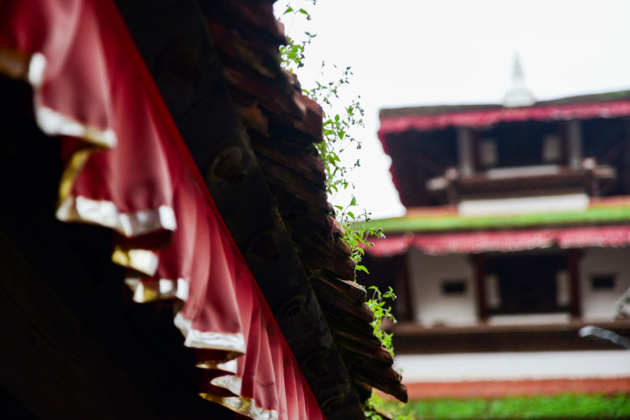 Basantapur-ma-Grass_NPL-(8)-1755495872.jpeg