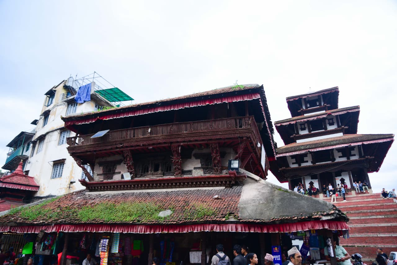 Basantapur-ma-Grass_NPL-(9)-1755495873.jpeg