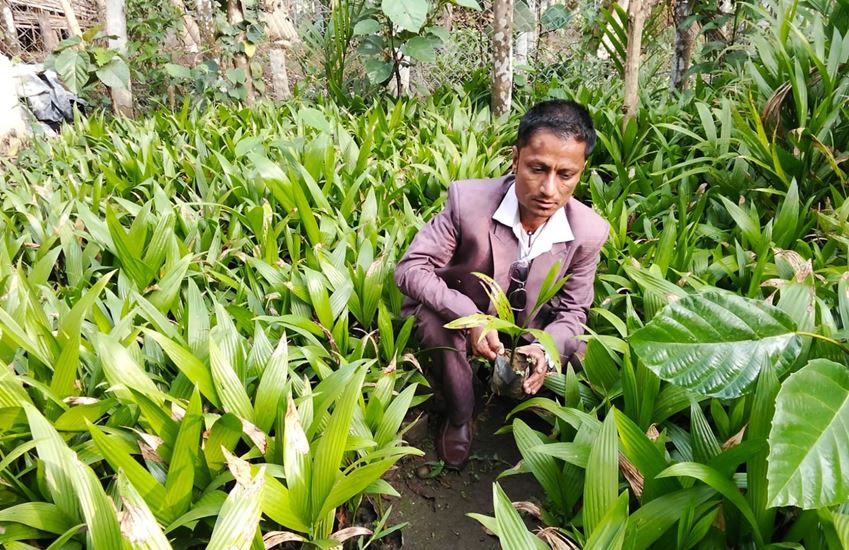 जीवनको तस्बिर बदलेका उद्यमी भीमबहादुर