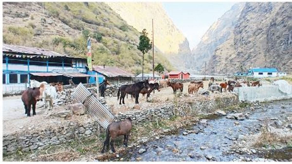 मनाङका केही मतदान केन्द्रको अनुगमनमा समस्या